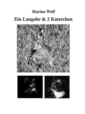 cover image of Ein Langohr & 2 Katerchen